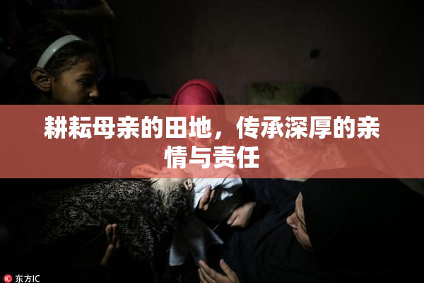 耕耘母亲的田地，传承深厚的亲情与责任