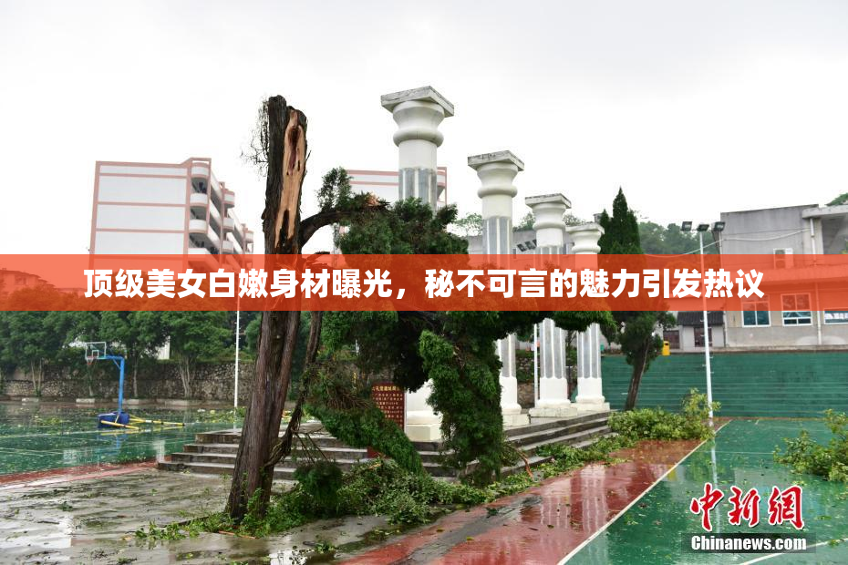 顶级美女白嫩身材曝光，秘不可言的魅力引发热议