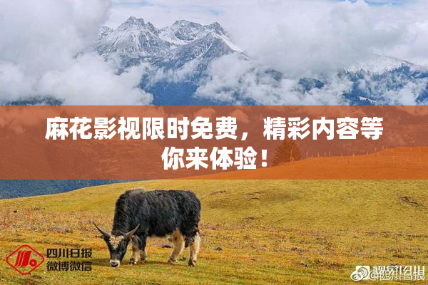 麻花影视限时免费，精彩内容等你来体验！