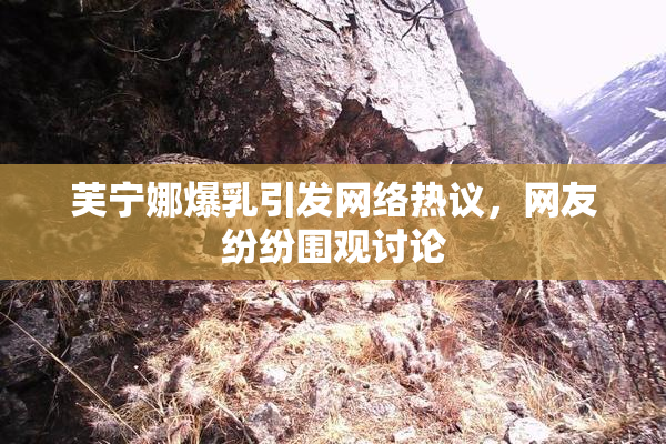 芙宁娜爆乳引发网络热议，网友纷纷围观讨论