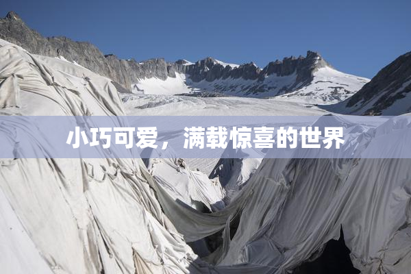 小巧可爱，满载惊喜的世界