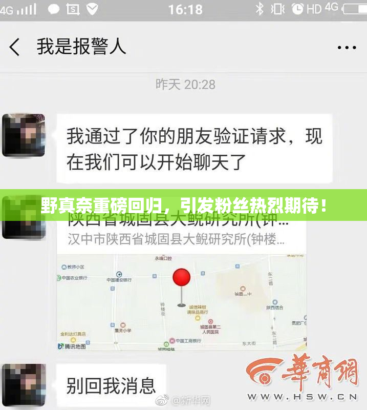 野真奈重磅回归，引发粉丝热烈期待！