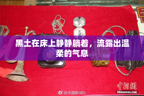 黑土在床上静静躺着，流露出温柔的气息
