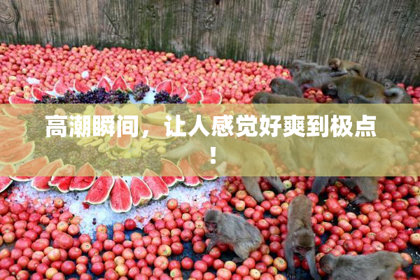 高潮瞬间，让人感觉好爽到极点！