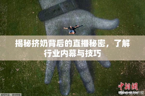 揭秘挤奶背后的直播秘密，了解行业内幕与技巧