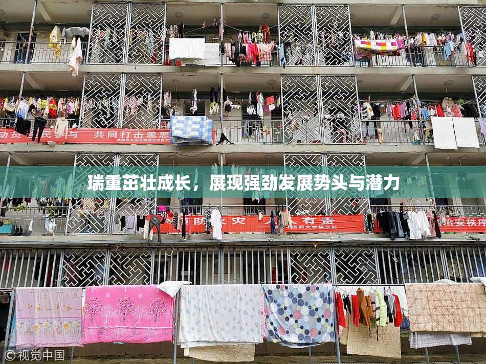 瑞重茁壮成长，展现强劲发展势头与潜力
