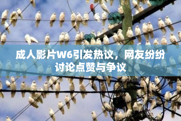 成人影片W6引发热议，网友纷纷讨论点赞与争议