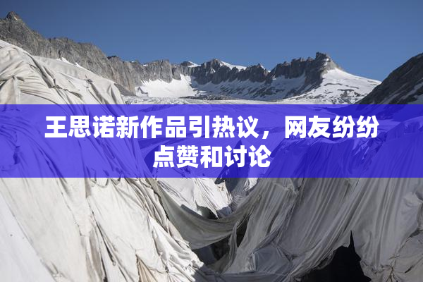 王思诺新作品引热议，网友纷纷点赞和讨论