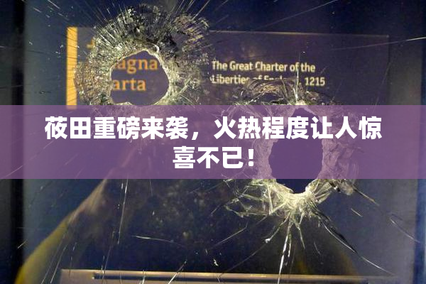 莜田重磅来袭，火热程度让人惊喜不已！