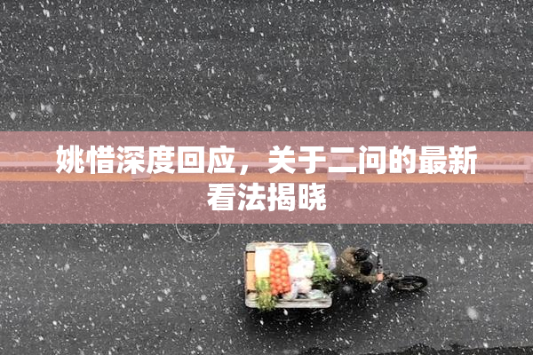 姚惜深度回应，关于二问的最新看法揭晓