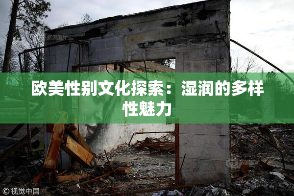 欧美性别文化探索：湿润的多样性魅力