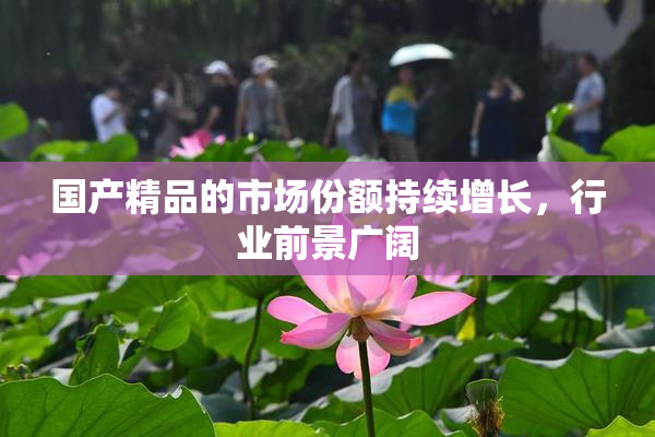 国产精品的市场份额持续增长，行业前景广阔