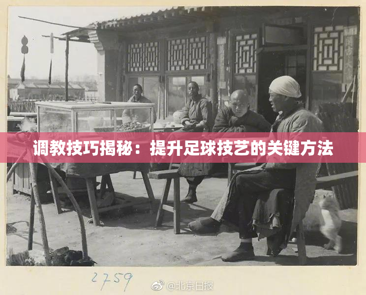 调教技巧揭秘：提升足球技艺的关键方法