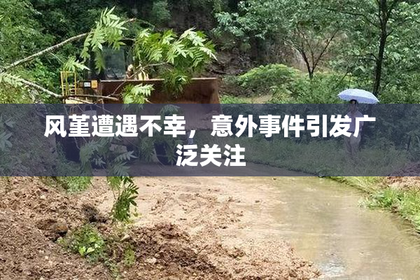 风堇遭遇不幸，意外事件引发广泛关注