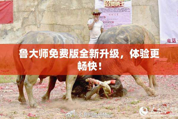鲁大师免费版全新升级，体验更畅快！