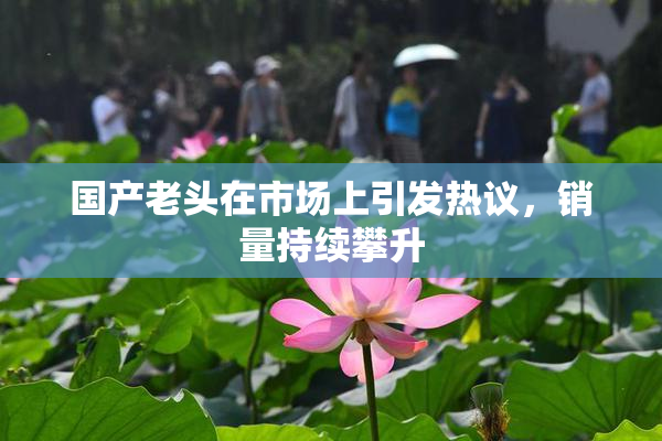 国产老头在市场上引发热议，销量持续攀升