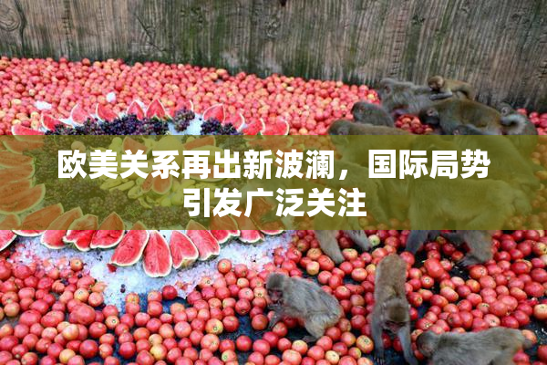 欧美关系再出新波澜，国际局势引发广泛关注