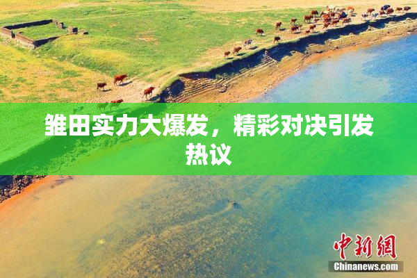 雏田实力大爆发，精彩对决引发热议