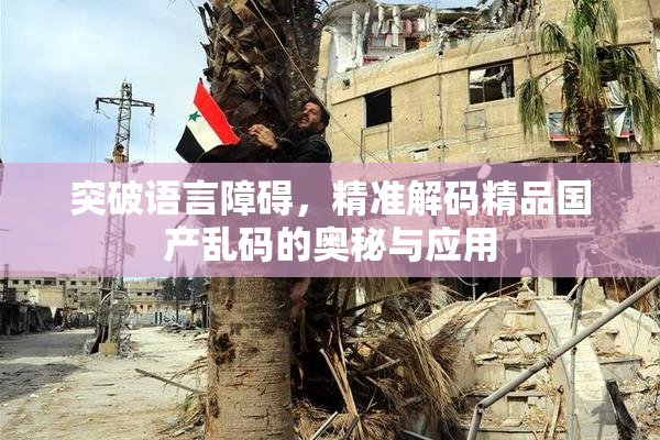 突破语言障碍，精准解码精品国产乱码的奥秘与应用