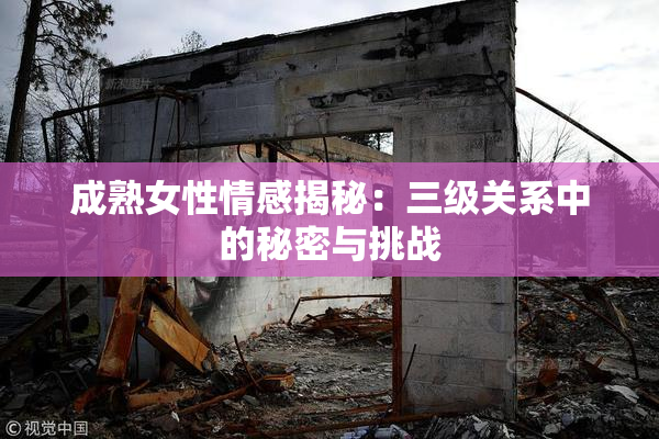 成熟女性情感揭秘：三级关系中的秘密与挑战