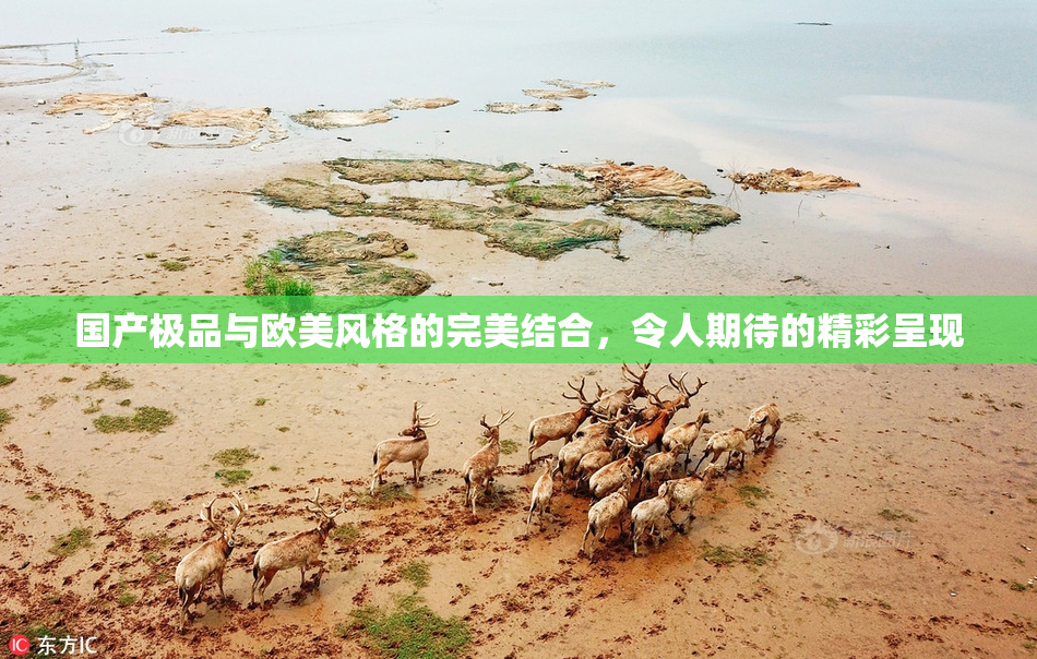 国产极品与欧美风格的完美结合，令人期待的精彩呈现