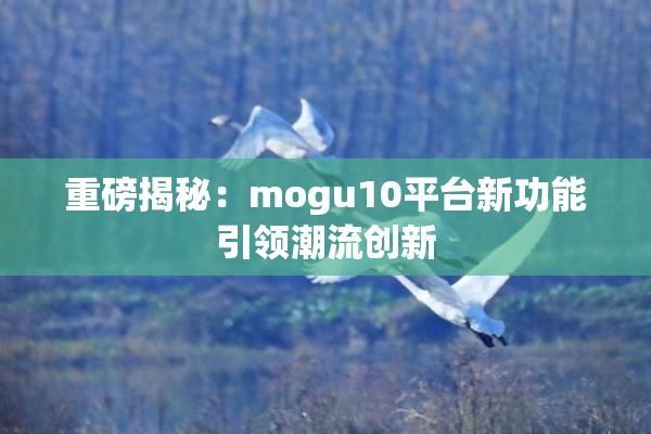 重磅揭秘：mogu10平台新功能引领潮流创新