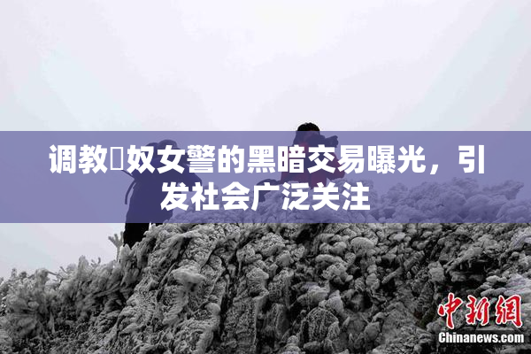调教婬奴女警的黑暗交易曝光，引发社会广泛关注