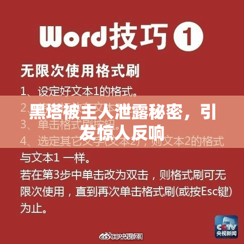 黑塔被主人泄露秘密，引发惊人反响