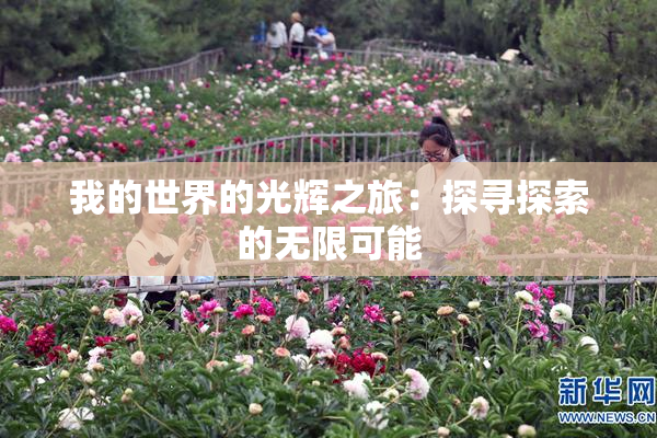 我的世界的光辉之旅：探寻探索的无限可能