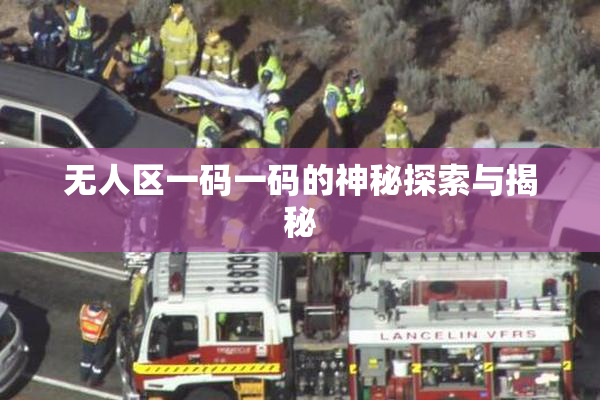 无人区一码一码的神秘探索与揭秘