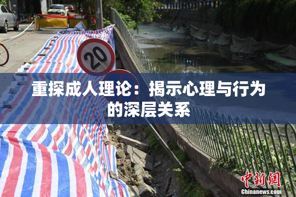 重探成人理论：揭示心理与行为的深层关系