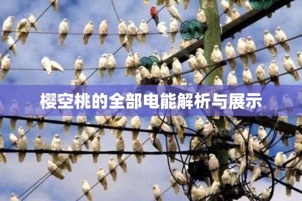 樱空桃的全部电能解析与展示