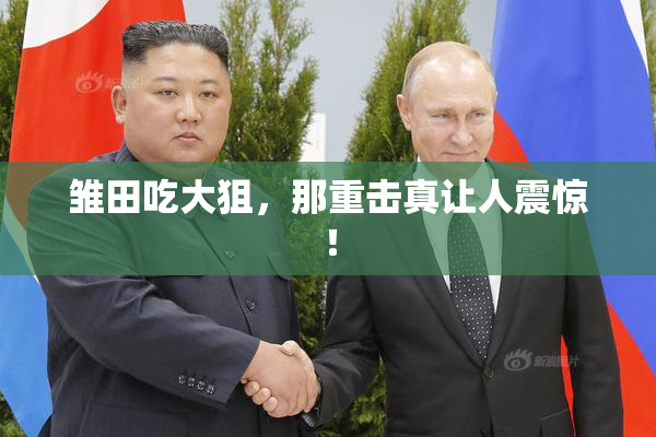 雏田吃大狙，那重击真让人震惊！