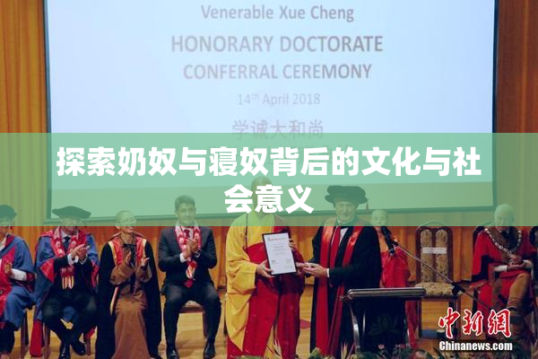 探索奶奴与寝奴背后的文化与社会意义