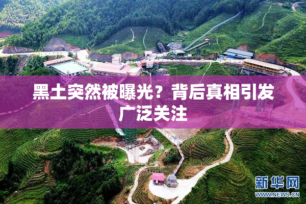 黑土突然被曝光？背后真相引发广泛关注