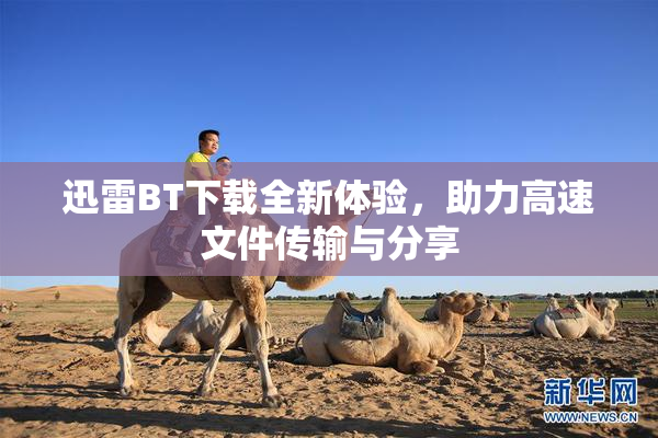 迅雷BT下载全新体验，助力高速文件传输与分享