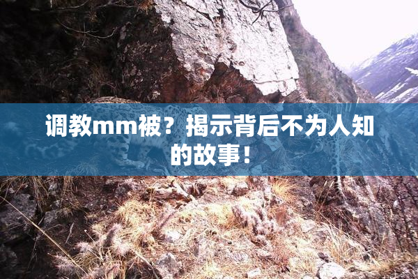 调教mm被？揭示背后不为人知的故事！