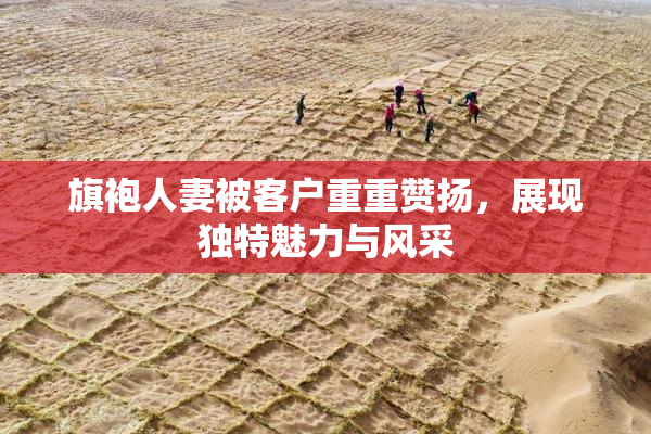 旗袍人妻被客户重重赞扬，展现独特魅力与风采