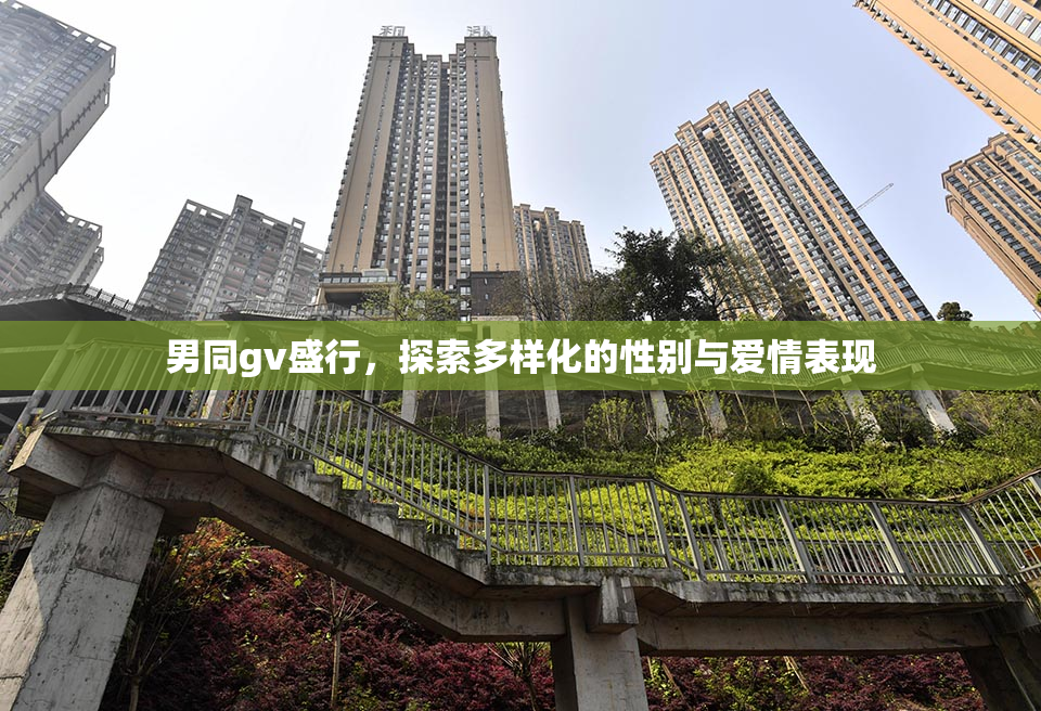 男同gv盛行，探索多样化的性别与爱情表现