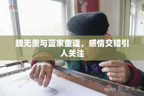 魏无羡与蓝家重逢，感情交错引人关注