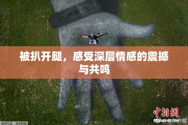 被扒开腿，感受深层情感的震撼与共鸣