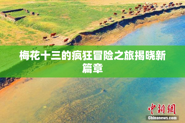 梅花十三的疯狂冒险之旅揭晓新篇章