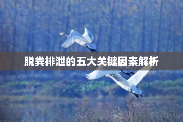 脱粪排泄的五大关键因素解析
