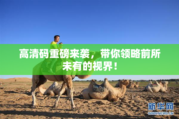 高清码重磅来袭，带你领略前所未有的视界！