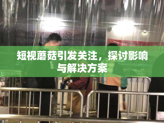短视蘑菇引发关注，探讨影响与解决方案