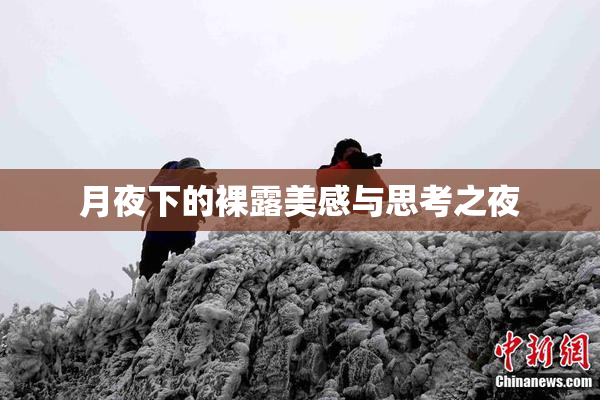 月夜下的裸露美感与思考之夜