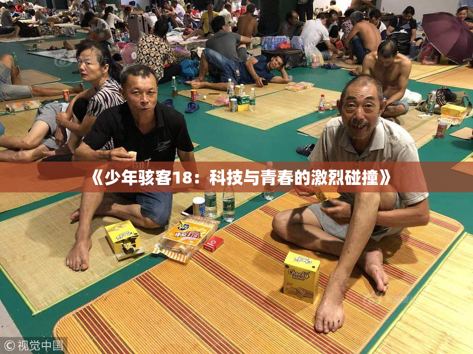 《少年骇客18：科技与青春的激烈碰撞》