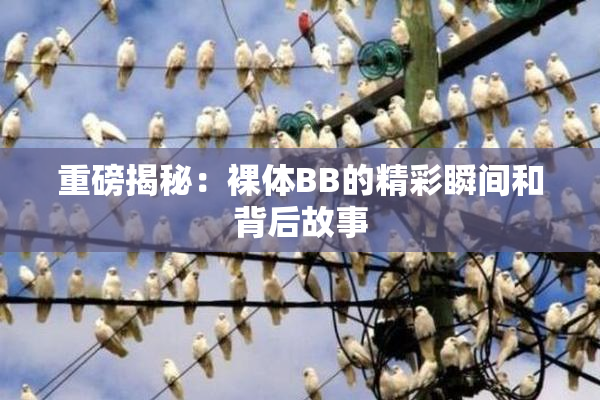 重磅揭秘：裸体BB的精彩瞬间和背后故事