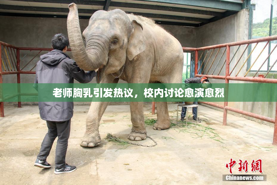 老师胸乳引发热议，校内讨论愈演愈烈