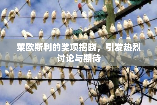 莱欧斯利的奖项揭晓，引发热烈讨论与期待